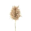 10st Pampagras Grote Omvang Gedroogde Bloemen Huwelijk Van Kerstmis Decor Bloem Bos Natuurlijk Gedroogde Pampagras Ruwe…