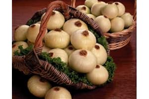 Vidalia Sweet Onions - Bursting with Freshness and Sweetness