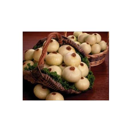 Vidalia Sweet Onions - Bursting with Freshness and Sweetness