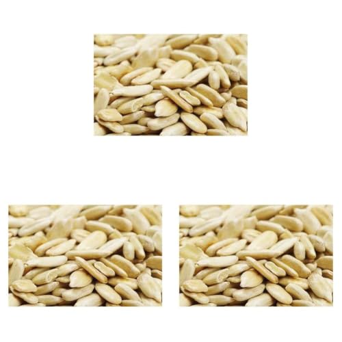 Image of Ancy Sunflower Seeds 1000 G (250 G X 4) Healthy Crunchy Snack for Office Employees, Busy Moms & Housewives | Boost Energy, Improve Focus & Heart Health | Ideal for Learning Kids & Whole Households