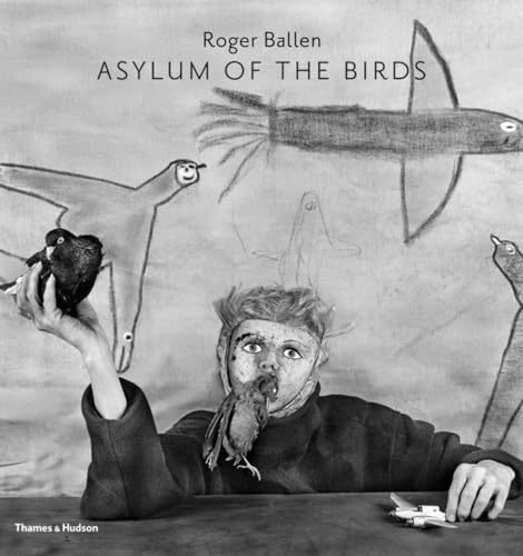 Asylum of the Birds