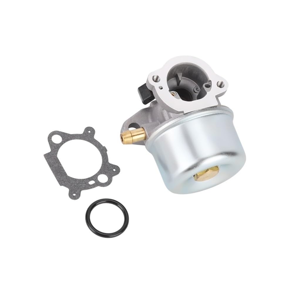 Carburateur de rechange 497347 pour entretenir facilement votre pelouse