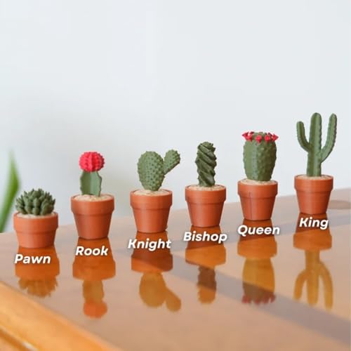 Jeu d'échecs cactus original à offrir pour les amateurs de design