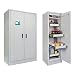 neoLab 1-0400 - Armadio di sicurezza a 1 pale, tipo 30, 147 kg, 595 x 595 x 1960 mm, colore: Grigio chiaro