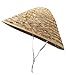 Nicky Bigs Novelties Morph Adult Oriental Bamboo Straw Hat 14