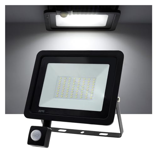 SHEHUALI Illuminazione esterna, Proiettore a LED Sensore di movimento PIR Bianco/Bianco caldo IP66 Proiettore for esterni Faretto Illuminazione for esterni Lampada da terra(Black - White Light,20w)