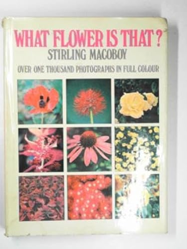 What flower is that B000HW9HFU Book Cover