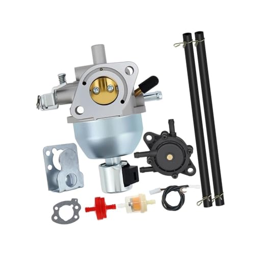 Carburateur Vanguard 18hp résout les problèmes de démarrage GT235
