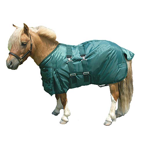 Intrepid International Miniature Horse Turnout Blanket, Waterproof Mini Horse Blanket w/Belly Band & Two Elastic Surcingle, Shoulder Gussets, Tail Guard, 420D 190g Poly Fill, Hunter Green, 38 Inches