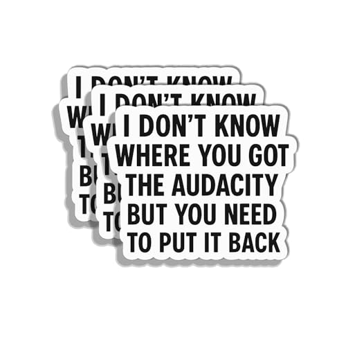 (3PCS) Funny Sarcastic Sticker – “I Don’t Know Where You Got The Audacity” – Waterproof Vinyl Decal for Laptop, Water Bottle, Journal, Gift for Snarky Friends