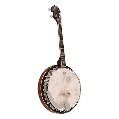 Barnes & Mullins BJ304GT Perfect Series 4 String Banjo Cover