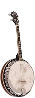 4 string gaelic / irish style banjo Mahogany resonator Remo vellum head Mahogany neck Rosewood fingerbord