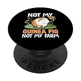Photo Gallery not my guinea pig not my farm - cute cavy guinea pigs owner popsockets popgrip intercambiabile Photo Gallery not my guinea pig not my farm - cute cavy guinea pigs owner popsockets popgrip intercambiabile