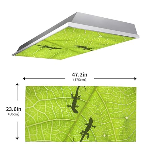 Image of 2Pcs Gecko Fluorescent Light Covers for Ceiling Lights Classroom, Magnetic Light Filters for Office, Hospitals, Home 4 X 2 Feet
