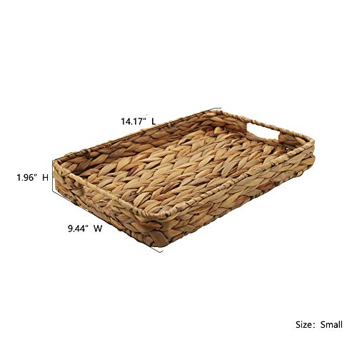 Grass Weaving Tray, Grass Storage Bins For Fruit Or Tea,Arts And Crafts. (1) (Tray-A-S) #TOP1