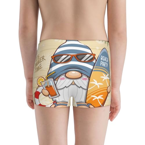 Boys' Cotton Boxer Brief Soft Underwear-Hello Summer Cute Gnome3