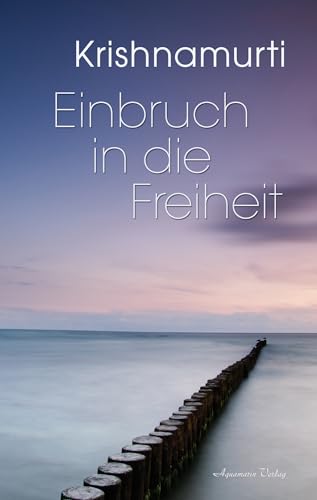 Einbruch in die Freiheit [German] 3894271000 Book Cover