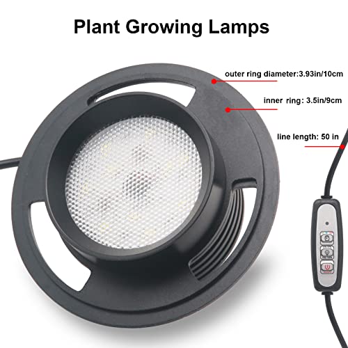Desktop Glass Plant Terrarium with Grow Light (H:7.8\" D:4\"), for Succulent, Moss, Miniature Gardening Landscape, Betta Fish Tank, Indoor Plant Growth, Office Home Decoration, Plant Lovers Gifts