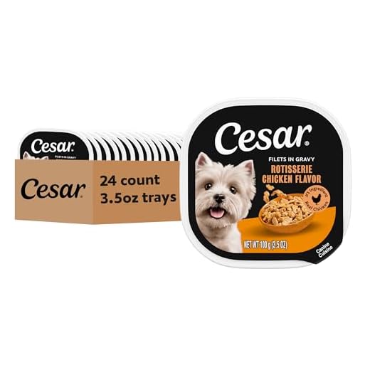 Cesar Filets in Gravy, Adult Wet Dog Food, Rotisserie Chicken Flavor, Wet Food for Dogs, 3.5 oz Trays, 24 Count