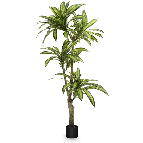 Maia Shop - Artificial Dracaena 170 cm | Hyperrealistic Decorative Plant | Tropical Tree for Home and Office Decoration | Artificial Plant with Pot for Indoor and Covered Outdoor Use