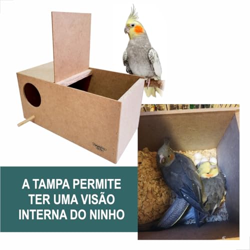 Ninho para Calopsita com Comedouro e Bebedouro, 33 x 16,5 x 16 cm, Natural, Kit Completo com Serrage