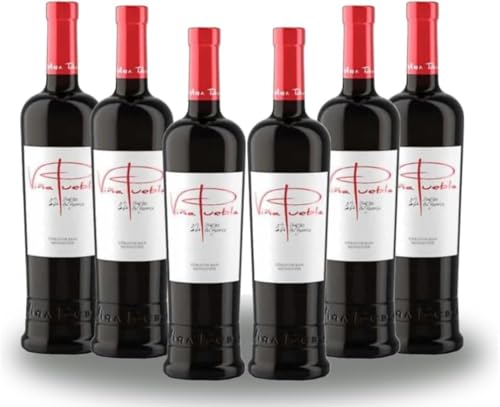 PACK 6 - Vino Viña Puebla 12 Meses en Barrica – Vino Tinto Crianza Tierra de Extremadura – Bodegas Toribio – Coupage Tempranillo, Merlot, Cabernet, Syrah y Garnacha