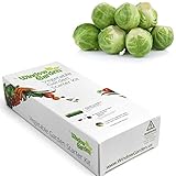 Window Garden - Brussel Sprouts Vegetable Starter Kit - Grow Your Own Food. Germinate Seed on Your Windowsill Then Move to Planter or Vegetable Patch. Mini Greenhouse System - Easy. (Brussel Sprouts)