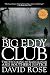 The Big Eddy Club: The Stocking Stranglings and Southern Justice