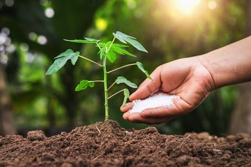 Image of COIR GARDEN - EPSOM SALT 10 KG FOR PLANT GROWTH - ORGANIC FERTILIZER - MAGNESIUM SULPHATE BOOSTER FOR FLOWERING, VEGETABLES AND FRUITS