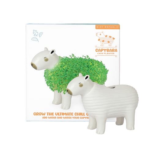 Pot de fleurs Chia Gift Republic céramique solution plante bureau