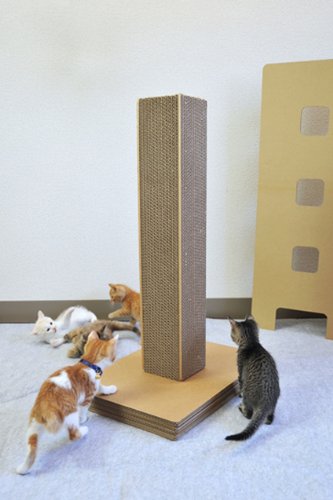 ねこページ 149450-1-