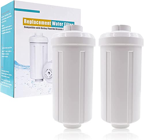 HUINING PF-2 Fluorid Arsenwasserfilter, austauschbares Filterelement, kompatibel mit Black Berkey und anderen Schwerkraft-Filtersystemen, reduziert effektiv Chlor und Fluor (2 Stück) Cover