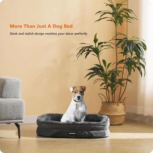 HMTOPE Orthopädisches Hundebett, Hundesofa, Vierseitiges Nackenrolle Kissen, rutschfeste Unterseite Hundekorb, Abnehmbar und Waschbar, Kleine Hunde, 71 x 53 x 14 cm, Dunkelgrau