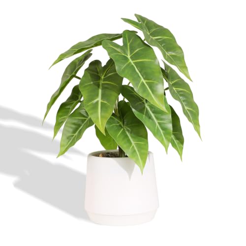 Image of Nubry Faux Plants in White Pot, 13" Tall Artificial Indoor Plants for Home Decor, Fake Plants with Pot for Bathroom Office Desk Decor (Sea taro leaves, White)