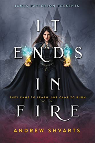 It Ends In Fire view 2