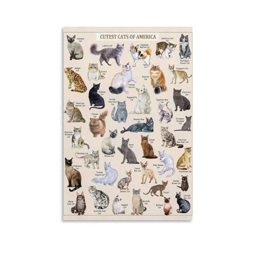 CYPGTBCK Cat Poster Types of Cat Poster Decorative Painting Canvas Wall Art Living Room Posters Bedroom Painting 12x18inch(30x45cm)