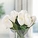 Pure Garden Tulip Floral Arrangement with Glass Vase - Cream