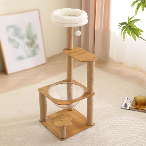 MORLU ؐLbg^[  ^Lp ی^x[X I  X ē~p ȃXy[X v W]t {E TCU ȃ[v XgX B 芴 ^  (EH[ibg 5wwvNC~Ot[ 