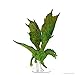 WizKids D&D Icons of The Realms: Adult Green Dragon Premium Figure
