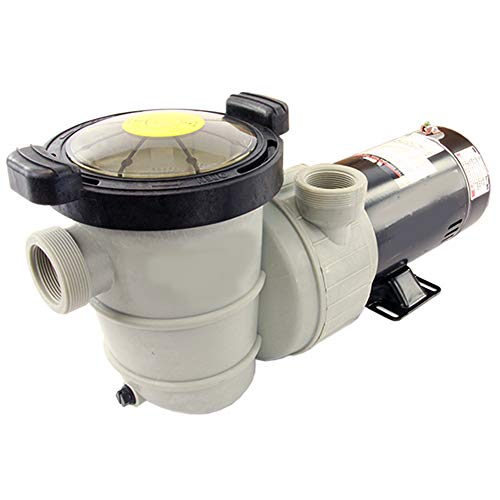 Rx Clear Dorado 2 HP Dual Port Pump | Above-Ground Swimming Pool Pump | 115V 12 Amps | See-Through Strainer Cover | Energy Efficient | Low Maintenance