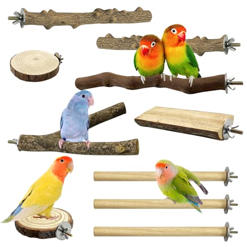 Image of Hamiledyi 10 PCS Natural Wood Bird Perches for Cage Parakeet Stand Bird Cage Accessories Parrot Perch Branch Paw Grinding Fork Parakeet Platform for Small and Medium Sized Birds Budgie Cockatiel