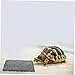 BESPORTBLE 2pcs Tortoise Polishing Bowl Reptile Shelf Turtle Rocks Decorative Basking Platform for Tank