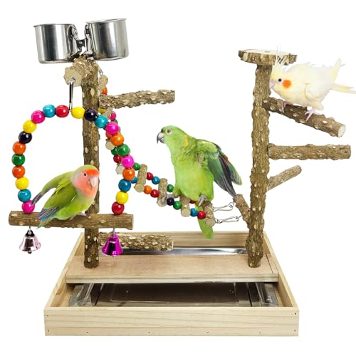 PINVNBY ���̗V�я� �V�R�� �I�E�� �p�[�` �X�^���h ���V�� �W�� �J���t�� �N���C�� �͂��� �X�C���O ���^���g���C�t�� �X�e�����X�X�`�[���J�b�v2�t�� �R�j���A �I�J���C���R �C���R ���u�o�[�p�A�N�Z�T���[