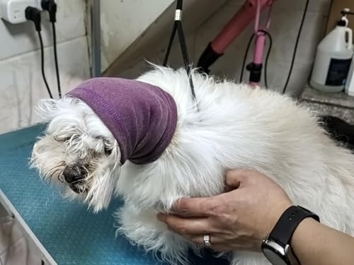 Image of Dog Head Cover Keep Calm Ear Wrap Hematoma for Bathing, Grooming, Thunder & Fireworks Pail Lilac+Pink M