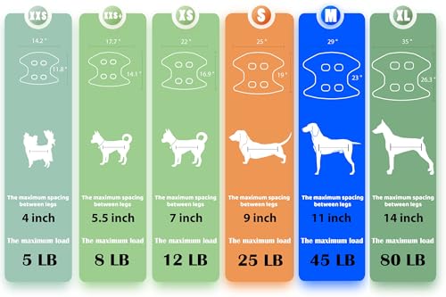 Guzekier Cat Grooming Hammock Harness for Cats, Cat Nail Clipper