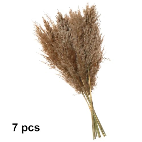 7PCS Ramo de Flores Secas Decorativo de Pasto Pampas miniatura 2