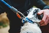 RUFFWEAR Knot-a-Leash, reflektierende Hundeleine aus Seil mit Karabinerhaken, Länge: 1,5 m, Stärke: 11 mm, Obsidian Black