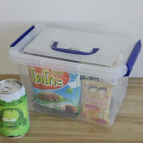Eudokky 6 Liter Plastic Lidded Boxes for Storage, 6 Packs, Transparent
