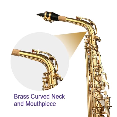 Image of Alto Saxophone E Flat for Adults Student Sax Eb Alto Full Kit With Carrying Sax Case Mouthpiece Straps Reeds Saxophone Beginner Kit