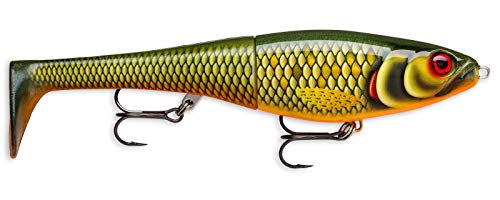 Rapala Unisex_Adult X-Rap Peto Curls, Scaled Blocks, 20 cm